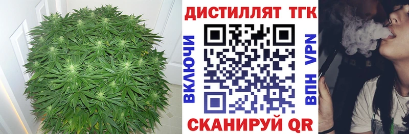 Купить где Купино Дистиллят ТГК вейп