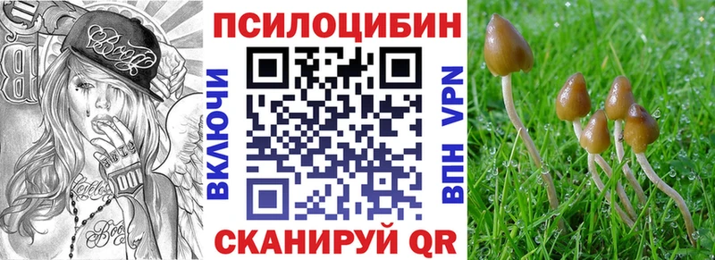 Купить  Купино  Галлюциногенные грибы Psilocybine cubensis 