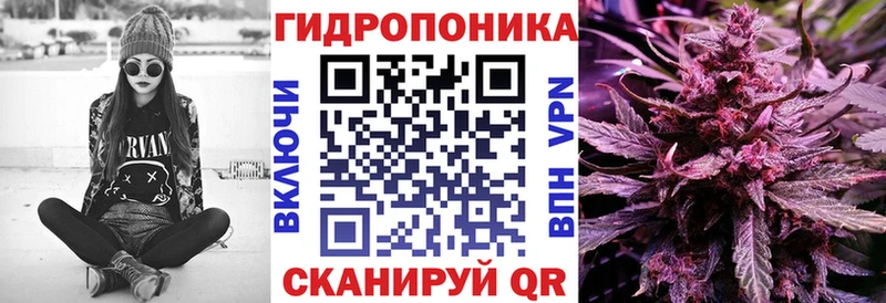 Каннабис THC 21%  Купить закладки  Купино 